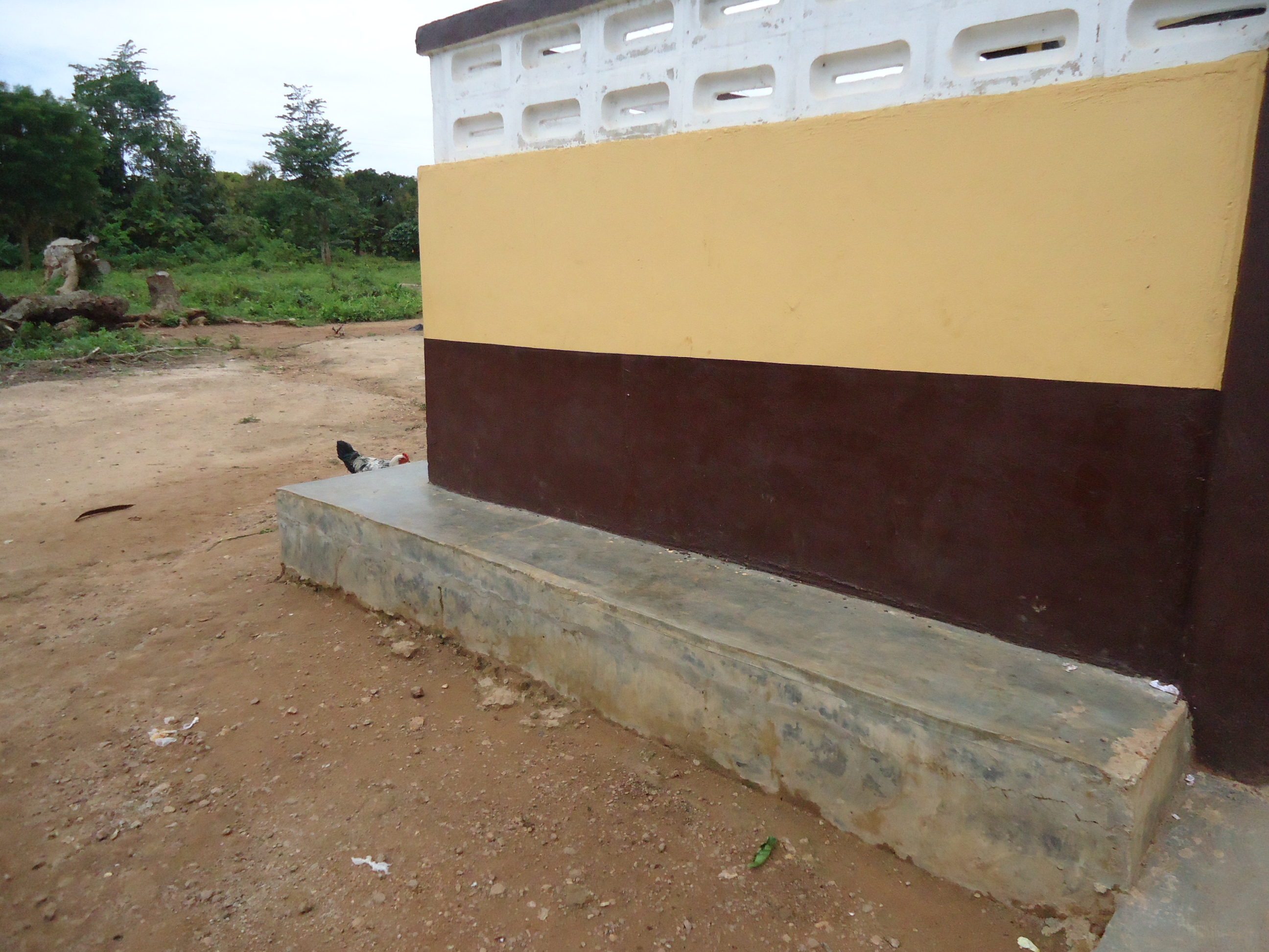Our Services