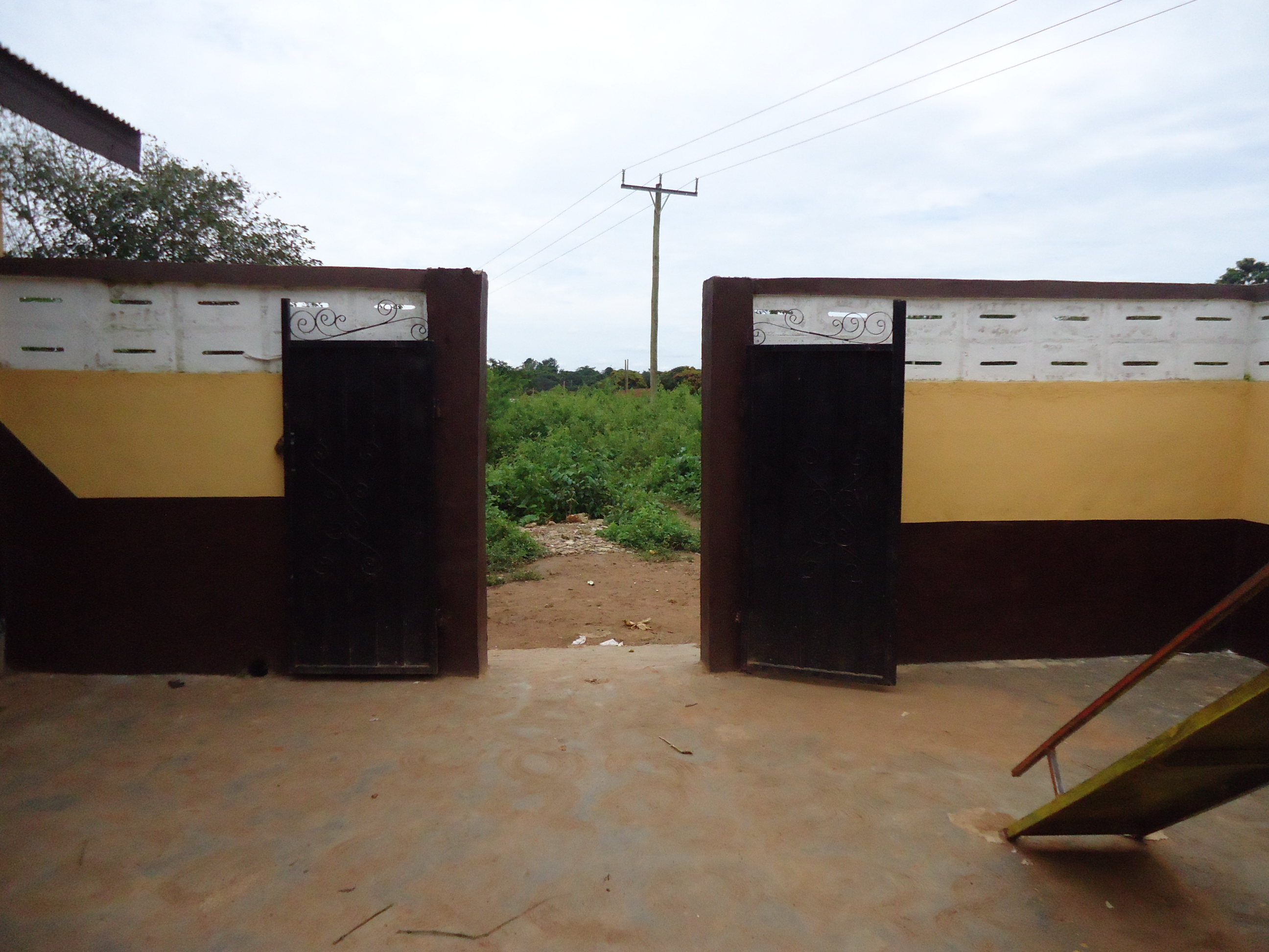 Our Projects